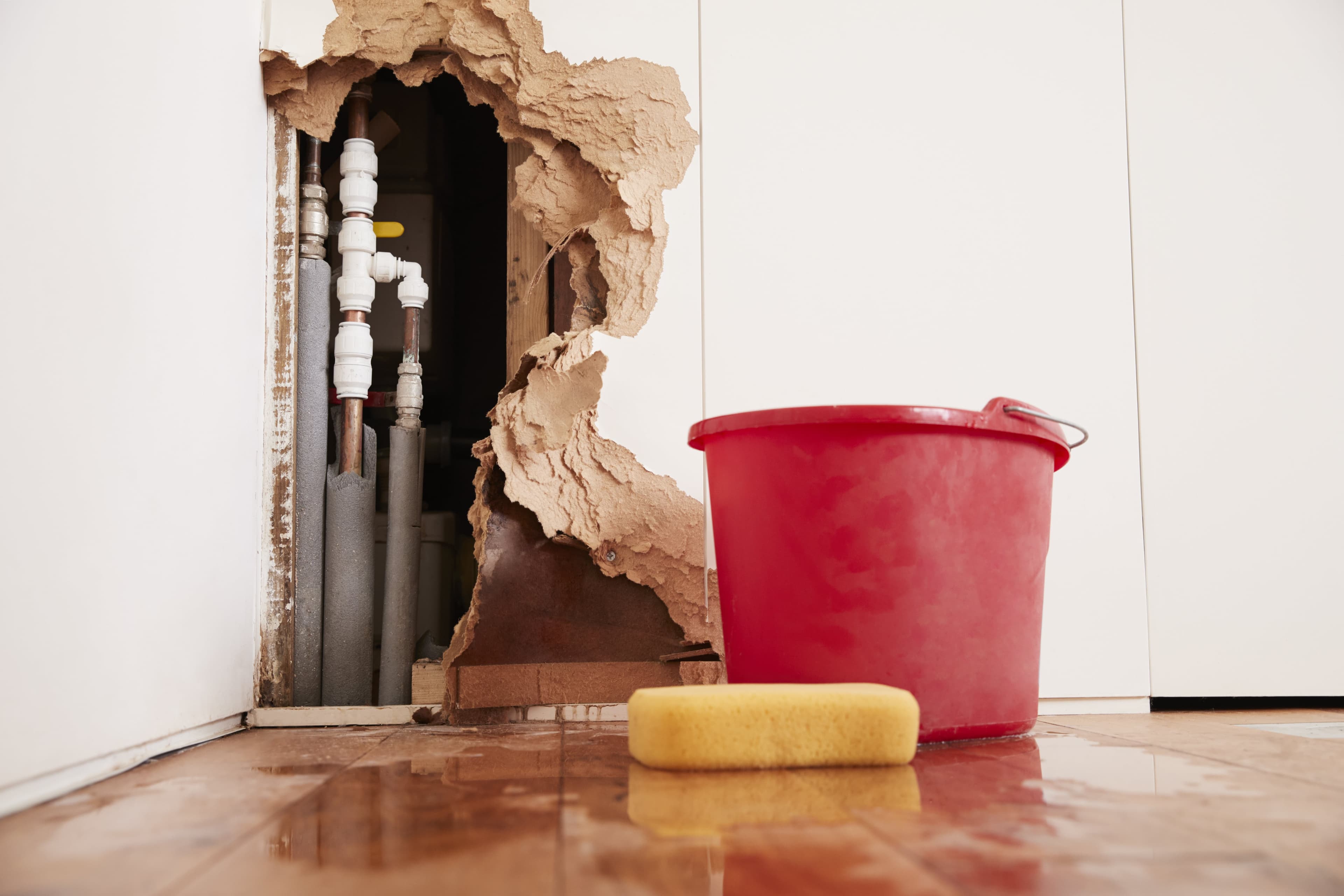 How to Detect and Prevent Hidden Water Leaks in Your Home | Zav Services